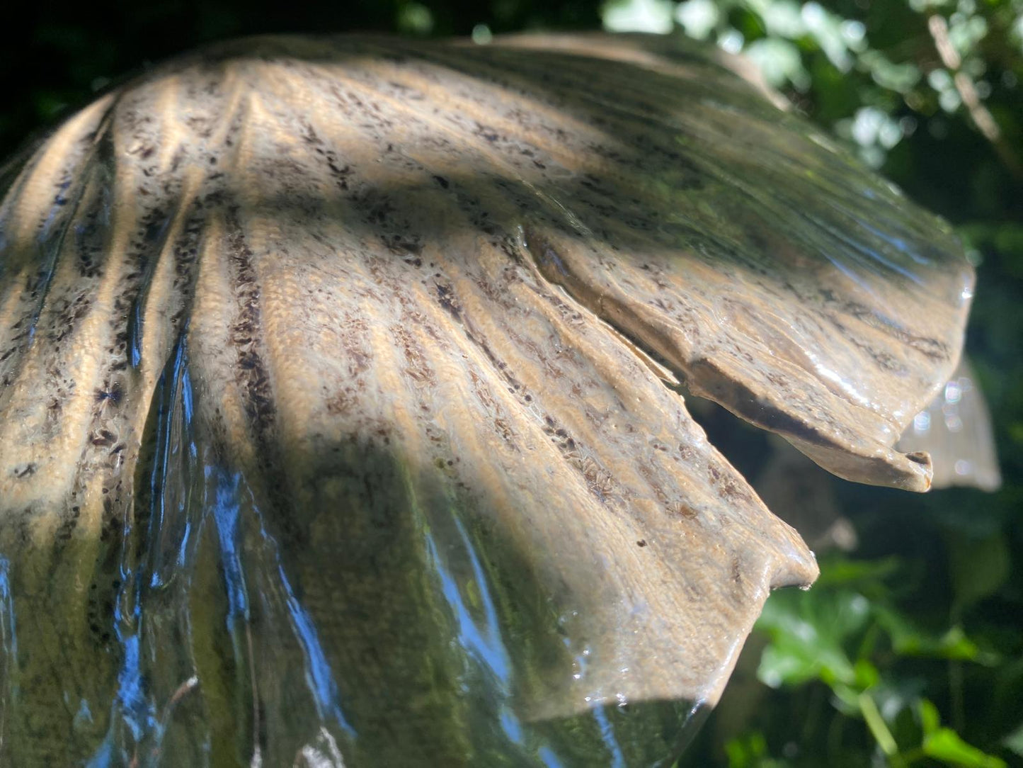 Paddenstoelen Tuinstekers