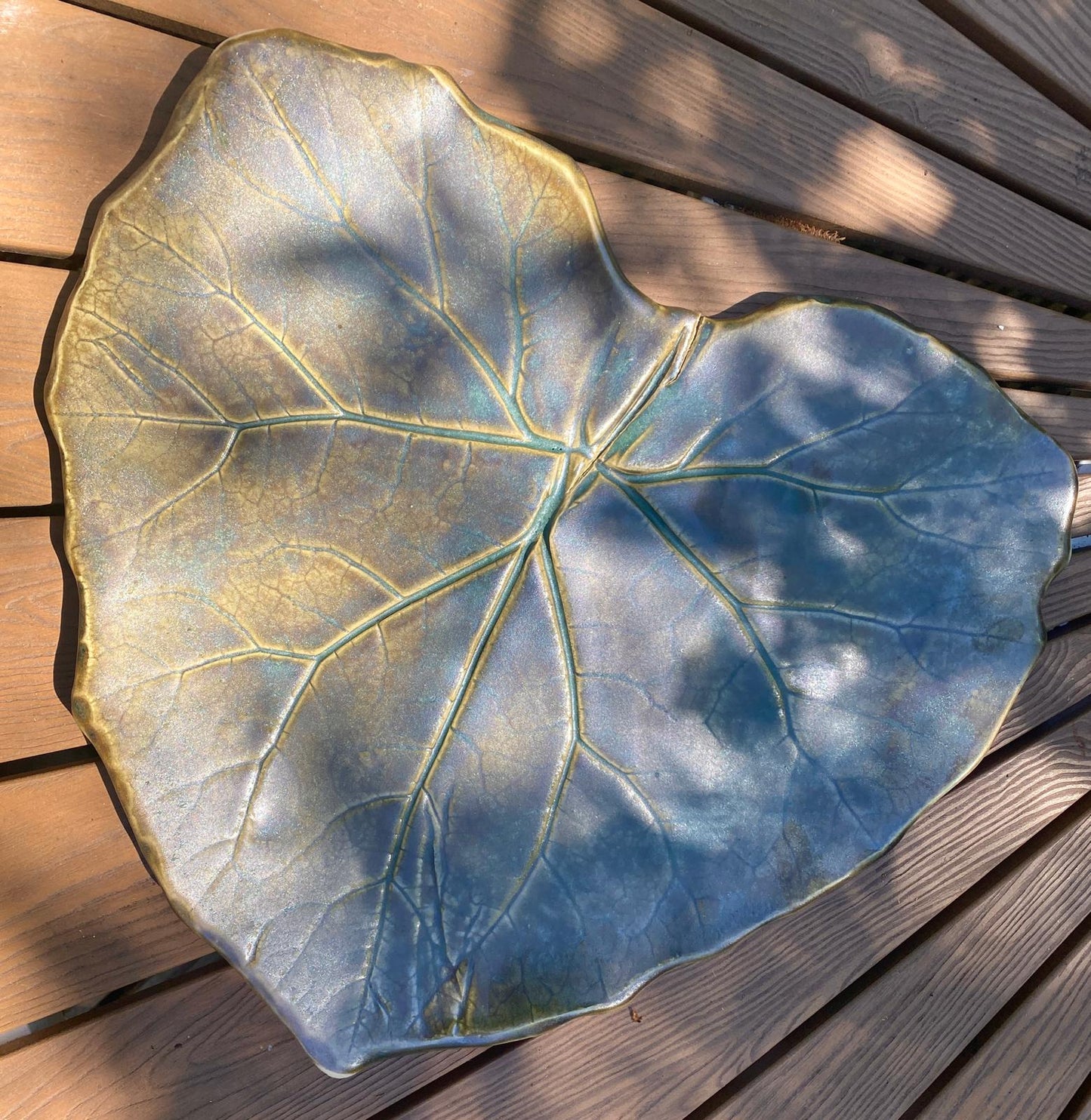 Schaal Groot hoefblad