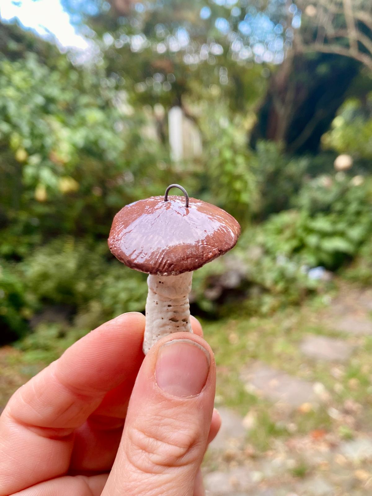 Set van 3 paddenstoeltjes