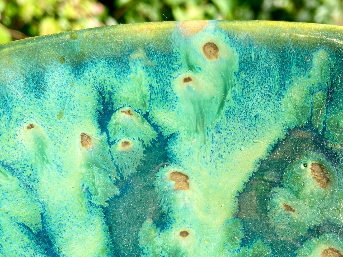 Schaaltje bosmeertje