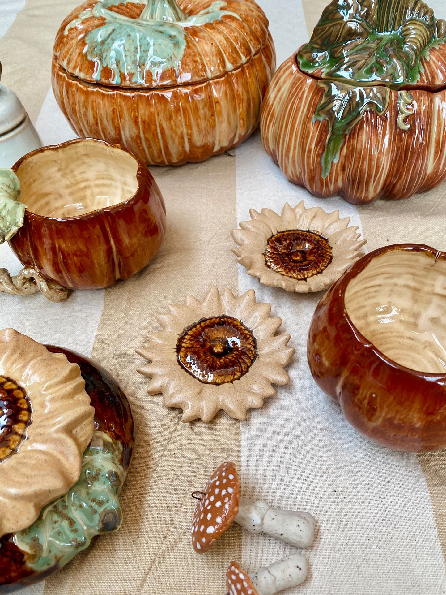 Theetipje zonnebloem