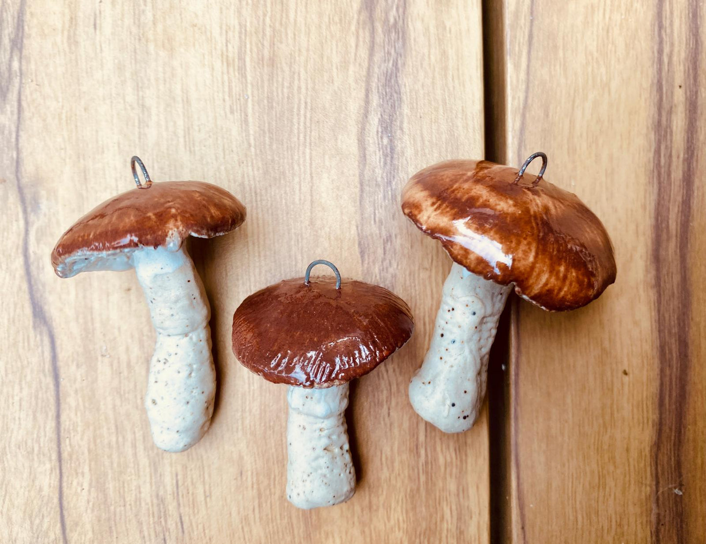 Set van 3 paddenstoeltjes