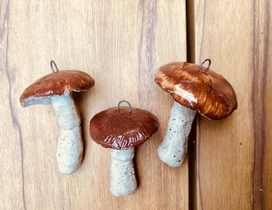 Set van 3 paddenstoeltjes