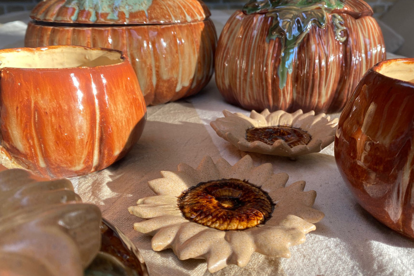 Theetipje zonnebloem