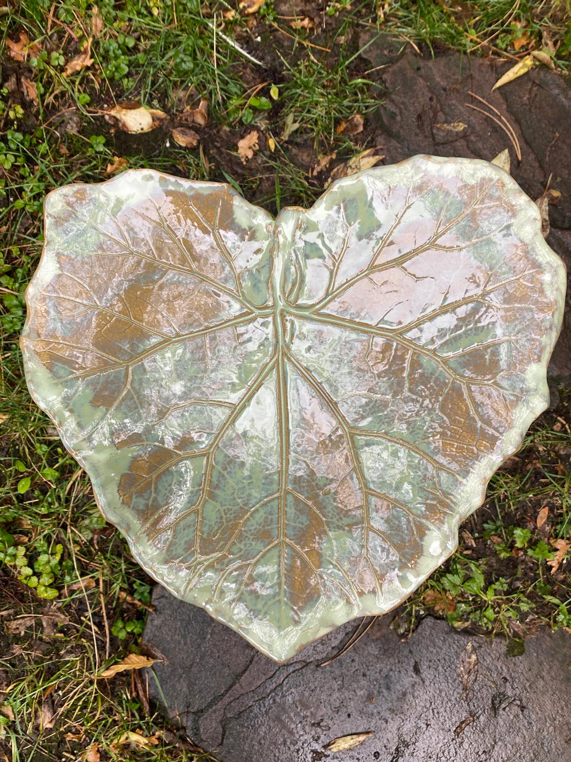 Schaal groot hoefblad