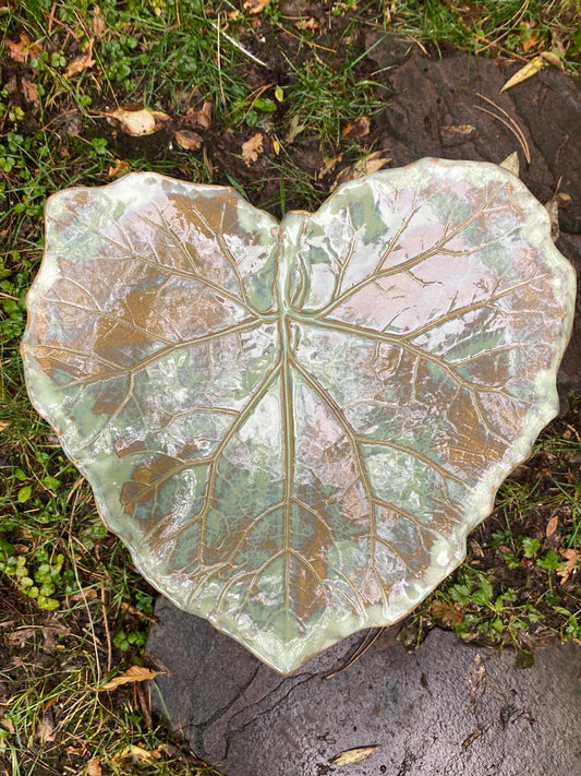 Schaal groot hoefblad