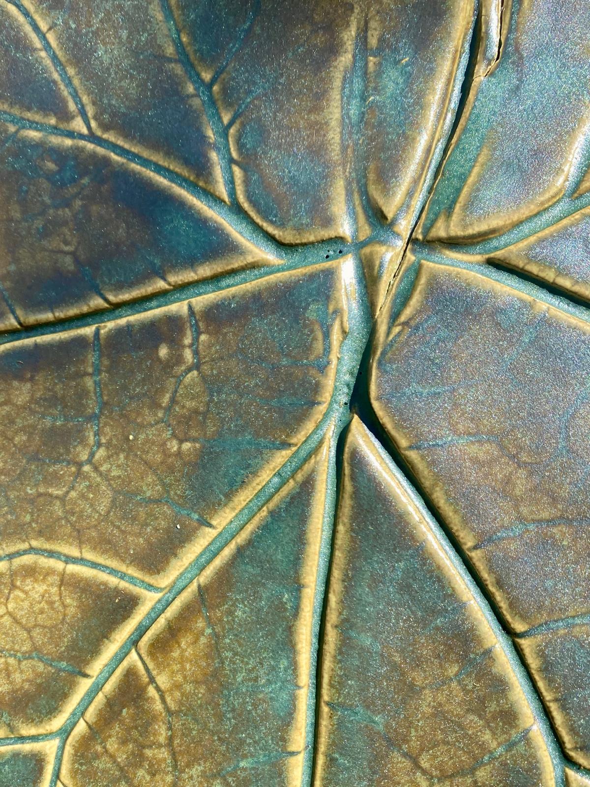 Schaal Groot hoefblad