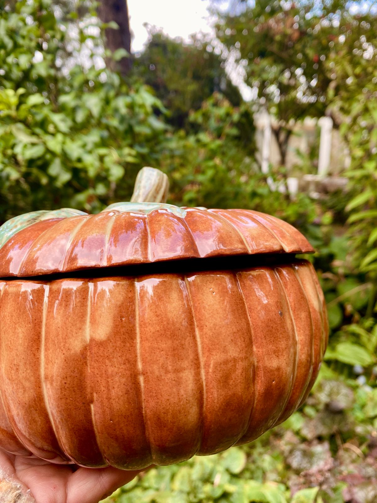 Grote pompoenpot (slecht passend deksel)