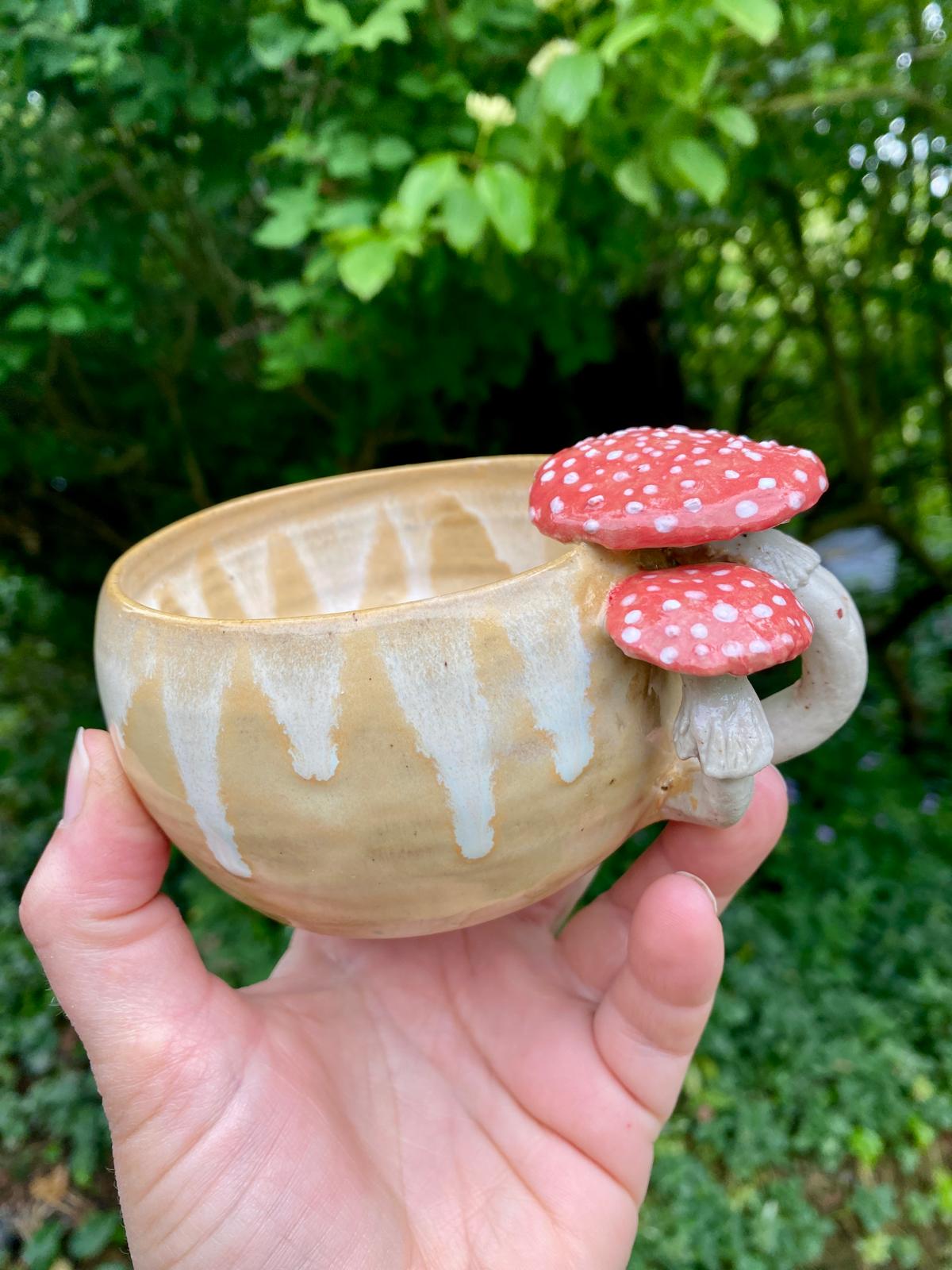 Mokje vliegenzwammen