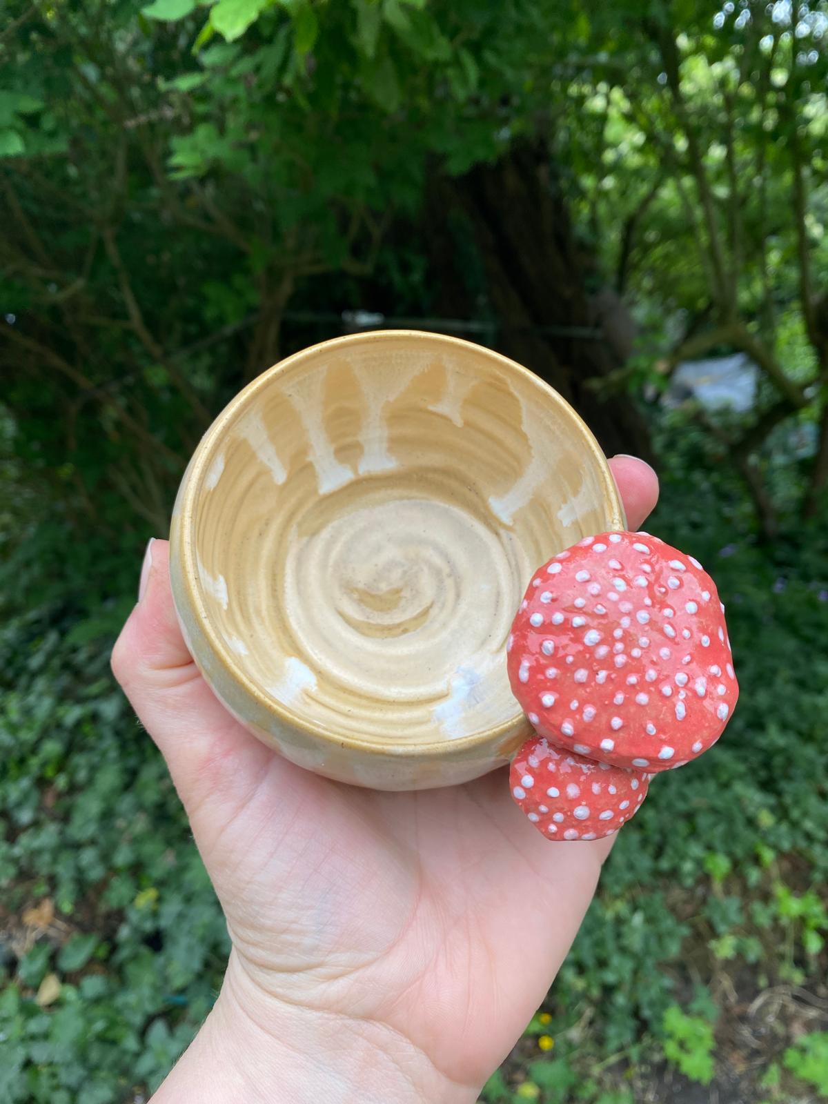 Mokje vliegenzwammen