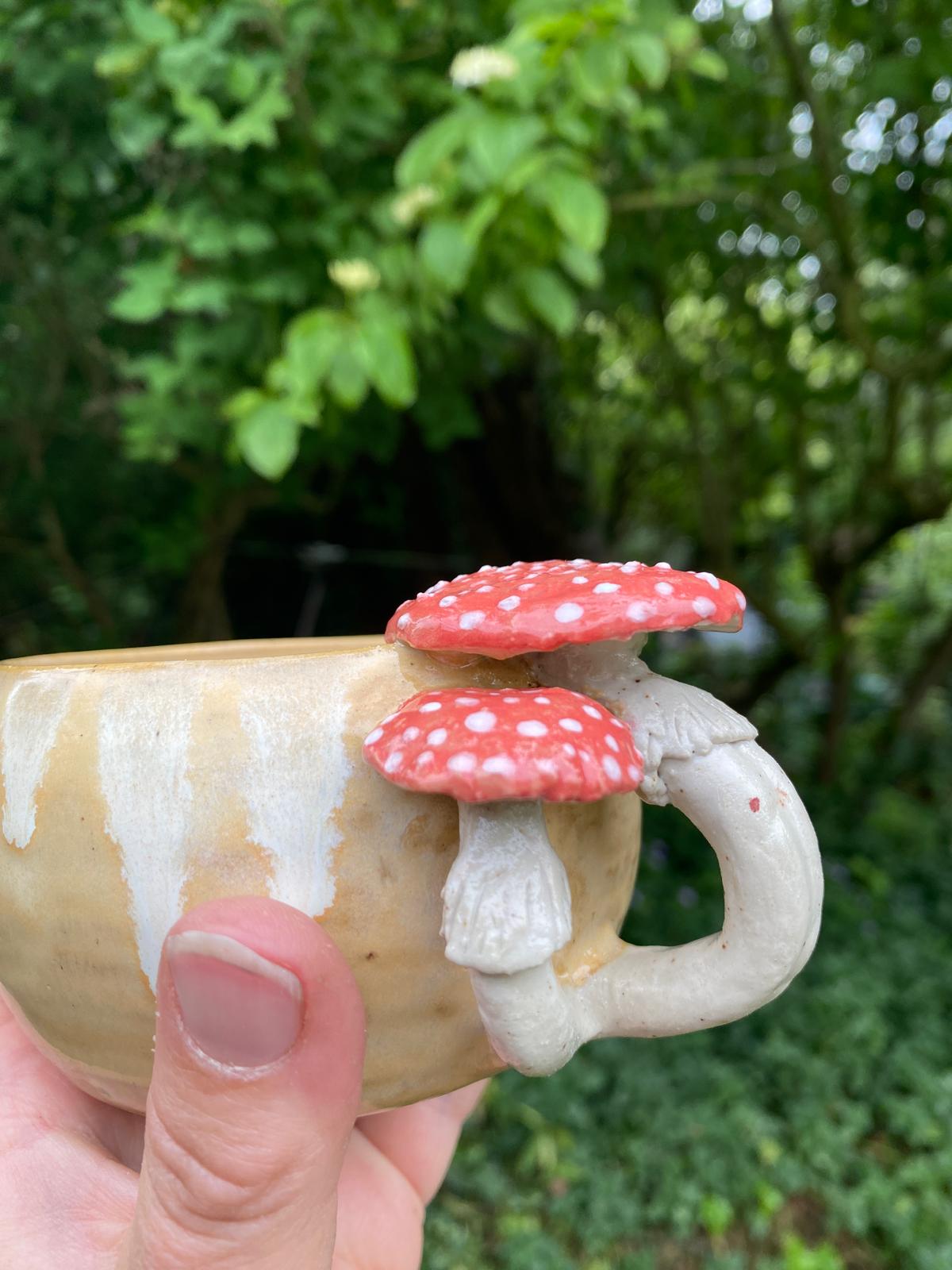 Mokje vliegenzwammen