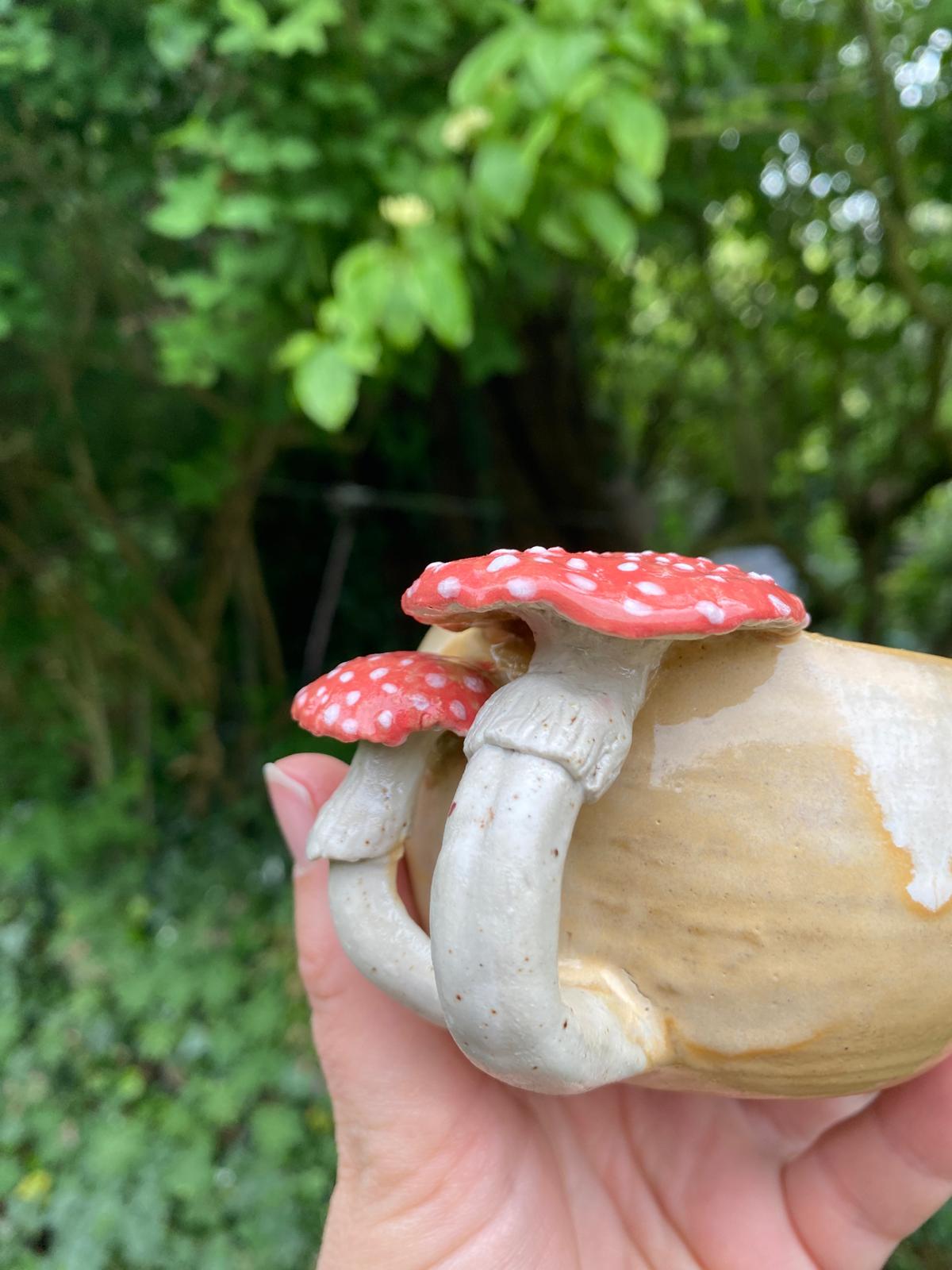 Mokje vliegenzwammen