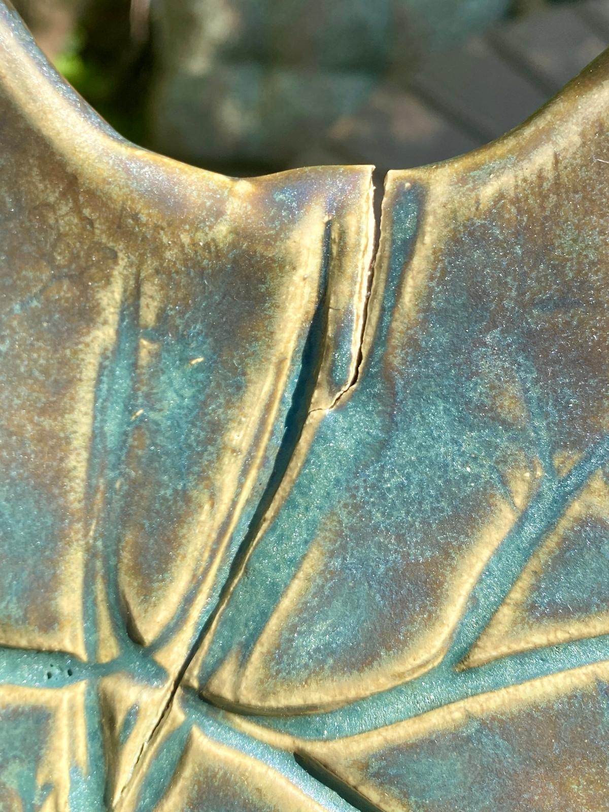 Schaal Groot hoefblad