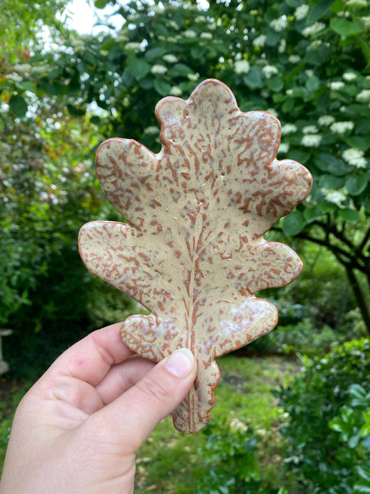 Klein schaaltje eikenblad