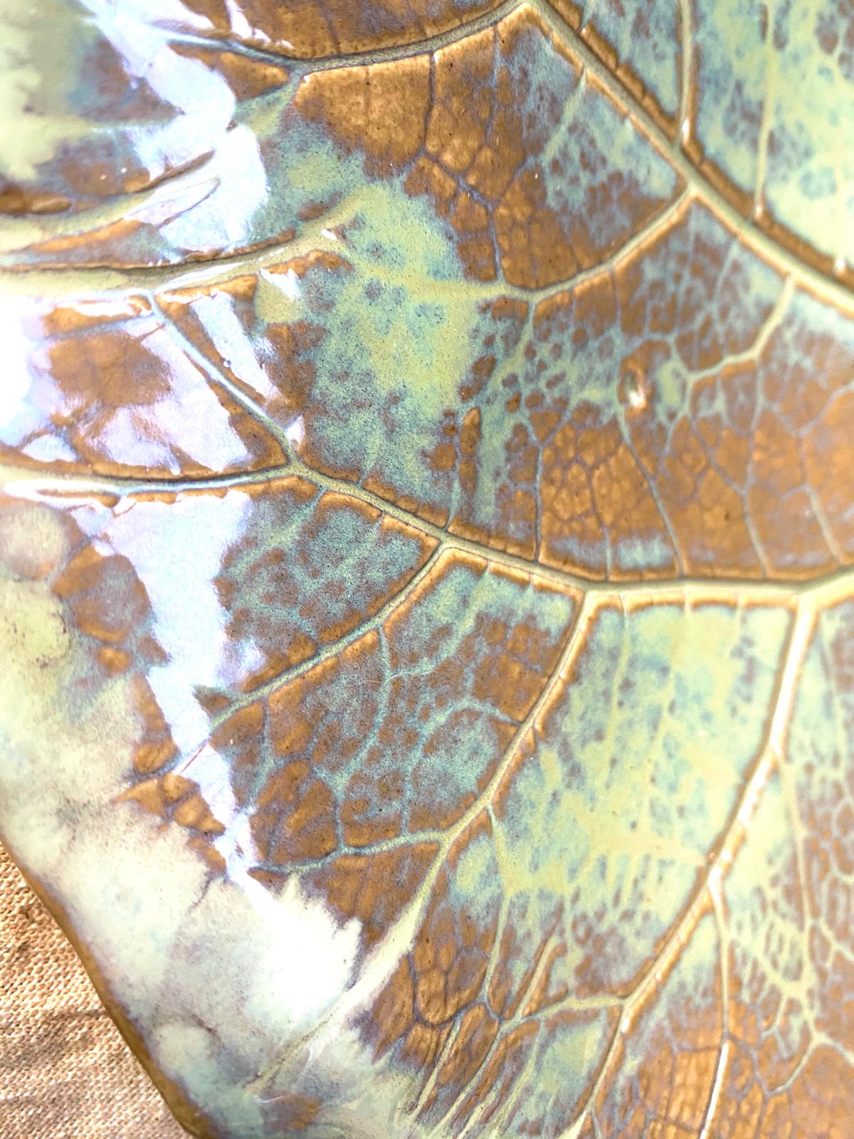 Schaal groot hoefblad