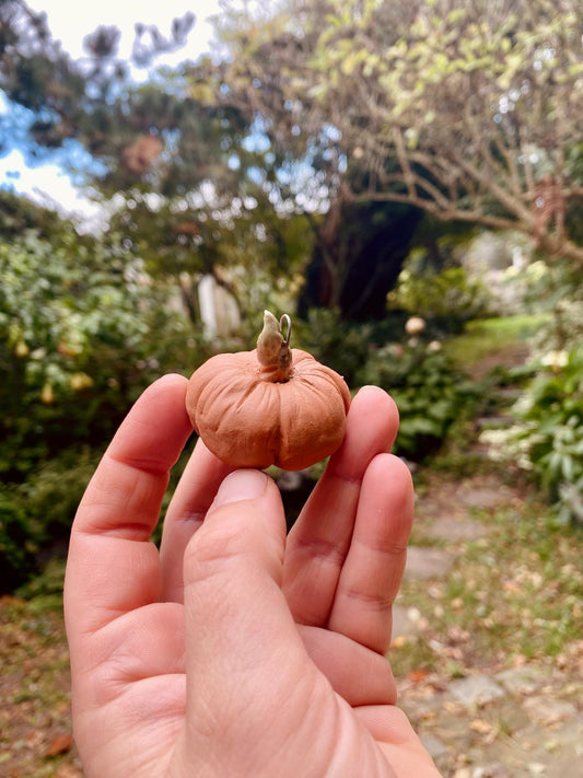 Kleine pompoen hangertjes (set van 2)