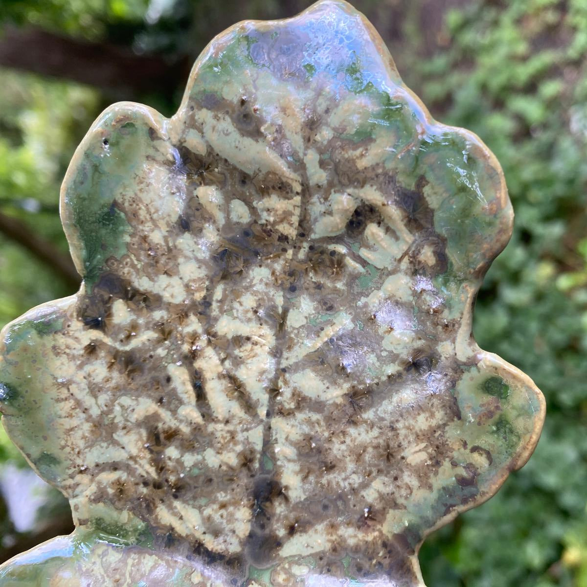 Klein schaaltje in eikenblad