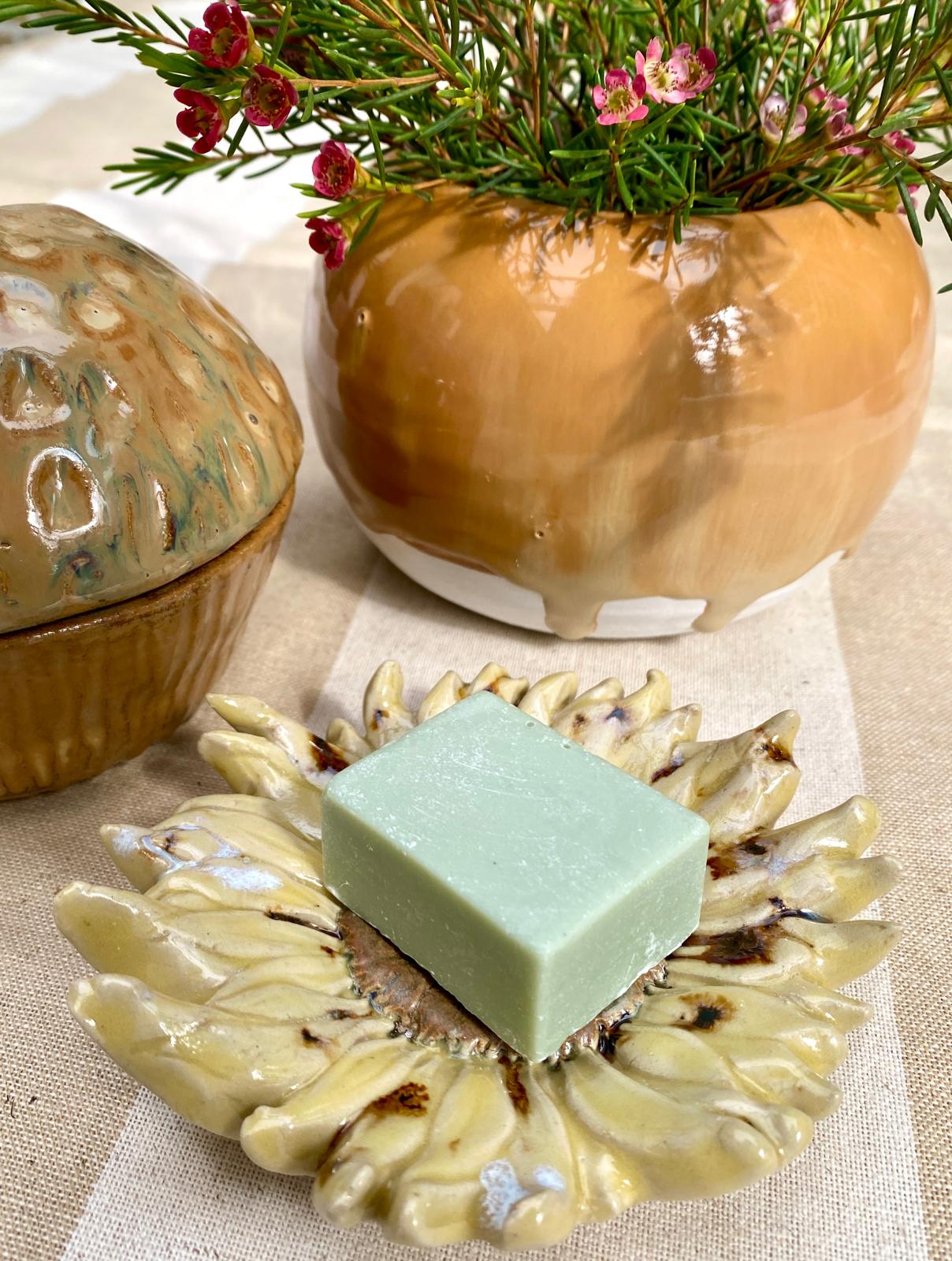 Theetipje zonnebloem