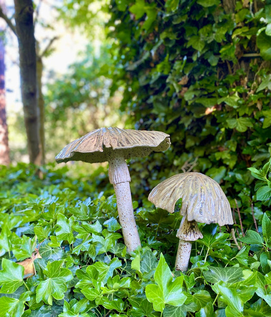Paddenstoelen Tuinstekers
