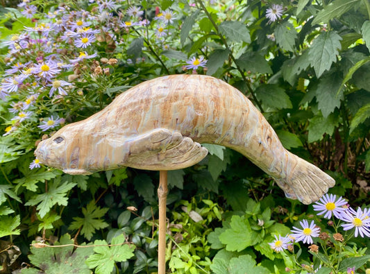 Tuinbeelden zeehonden - binnenkort beschikbaar