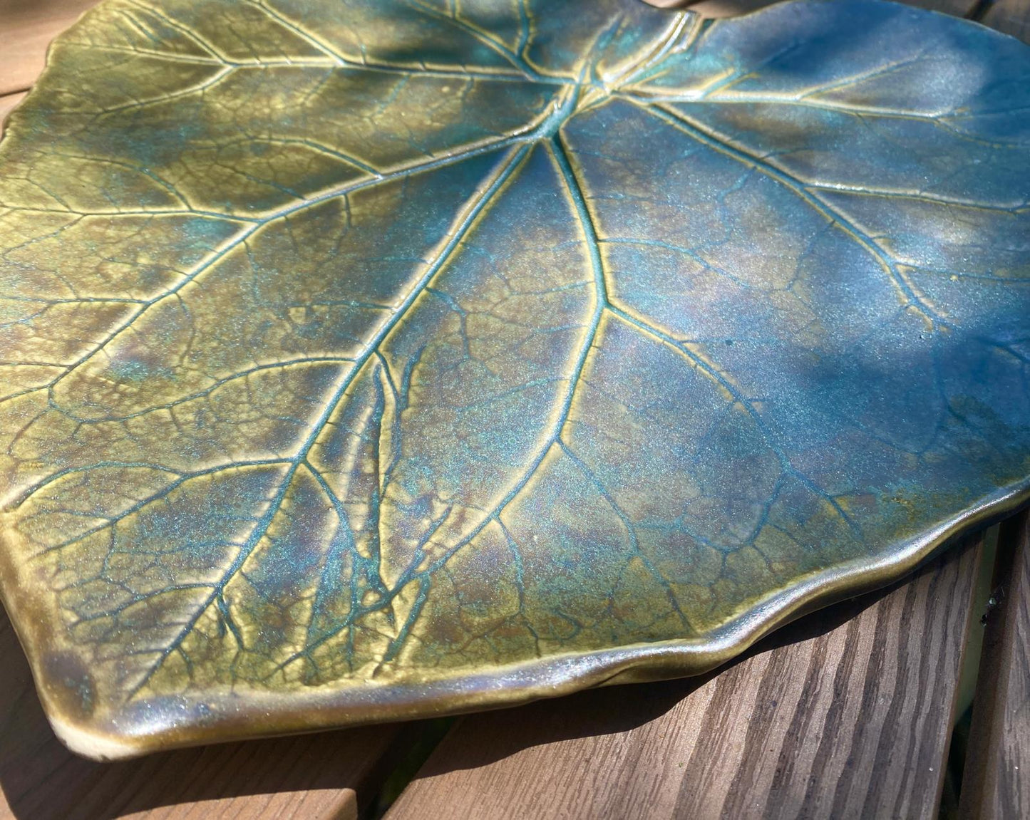 Schaal Groot hoefblad