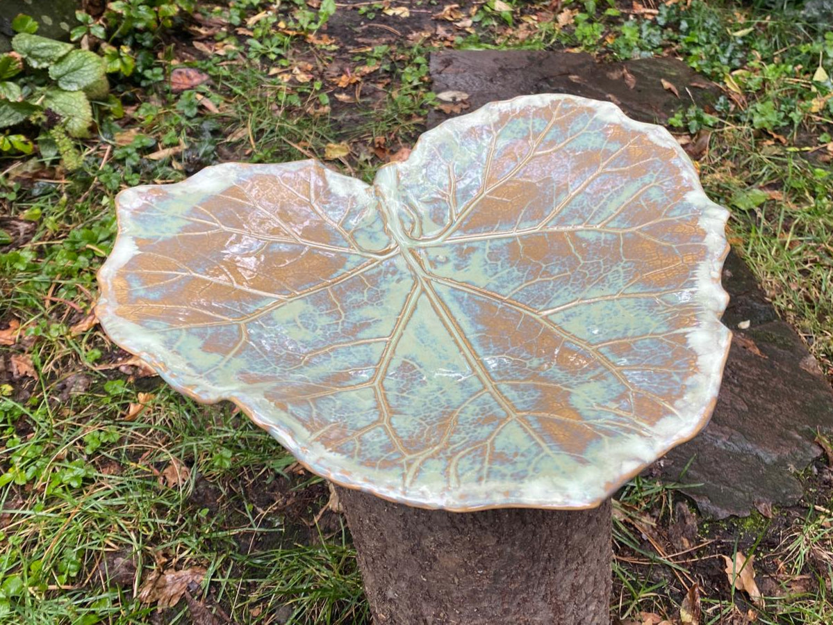 Schaal groot hoefblad