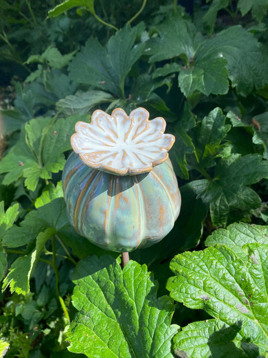 Papaverbol in zachtgroen